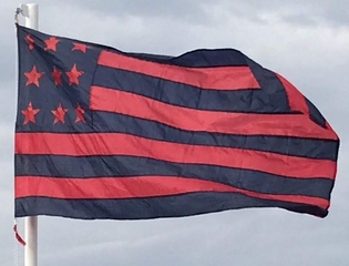 bandera oficial flameando